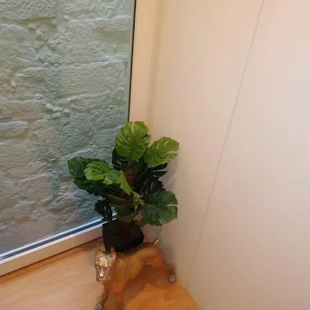 Apartment Ml Almada Living